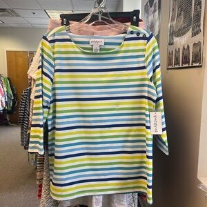 Peck & Peck Multicolor Striped Top